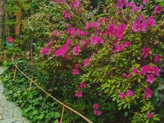 -阳光山水江湖菜馆(西山龙门店)