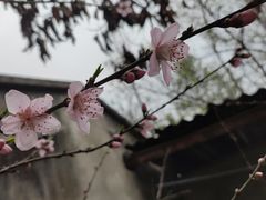 -平乐古镇