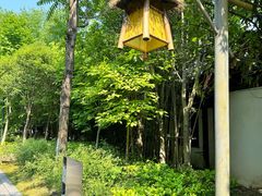 -东台西溪天仙缘景区