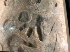 -湖南省地质博物馆