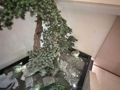 -北苑汤泉