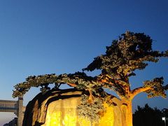 -福如东海文化园