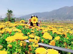 -玫瑰海岸文化旅游度假区