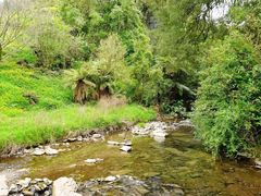 -怀托摩萤火虫洞