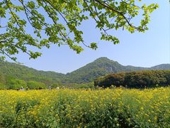 -八卦田遗址公园