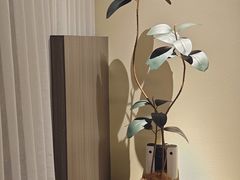 -木兰逸•泰式按摩•头疗•SPA(车公庙店)