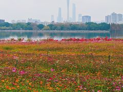 -海珠湖公园