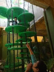 -恐龙探索乐园(磁器口店)