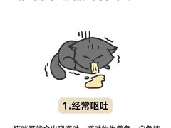 -守诺宠物医院·眼科· 特色牙科·异宠专科(虹口店)
