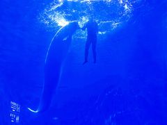 -多彩贵州城极地海洋世界