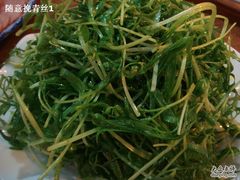DSC05991-鸿毛饺子(紫竹桥店)