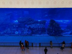 -迪拜水族馆及水下动物园