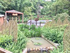 -石排湾郊野公园