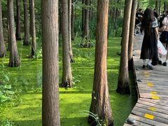 -云龙湖旅游景区