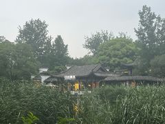 -日出青木
