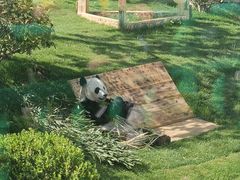 -无锡动物园·太湖欢乐园