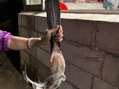 -鹿福农庄(南沙天后宫店)