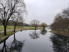 -上海共青森林公园