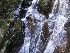 -藏龙百瀑风景区