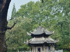 -习家池