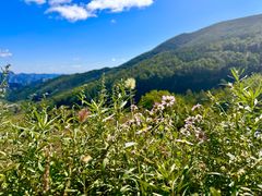 -白草畔自然风景区