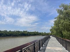 -东寨港红树林旅游区