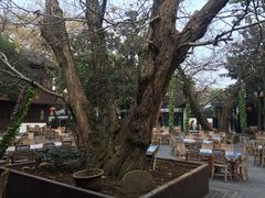 -兴福老面馆(寺路街店)