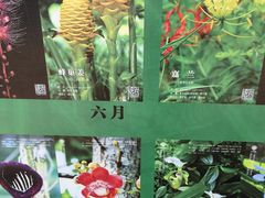 -中国科学院西双版纳热带植物园