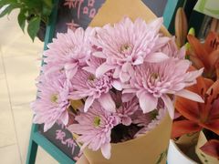 -BOBLOOM花店(宝龙旭辉广场店)