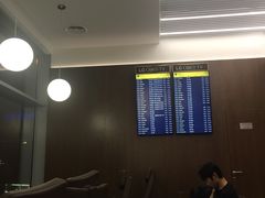 -谢列梅捷沃国际机场