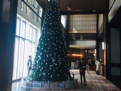 -三迪希尔顿酒店·星空酒廊