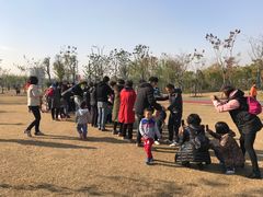 -上海长兴岛郊野公园