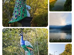 -孔雀湖生态旅游区