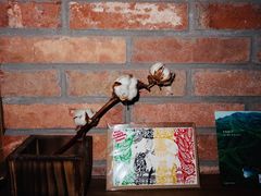 -春庄咖啡SpringHues(钟楼小区店)