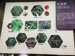 -北京中医药大学-中医药博物馆