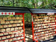 -野宫神社