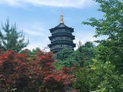 -杭州花家山庄