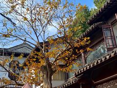 -兴福老面馆(寺路街店)