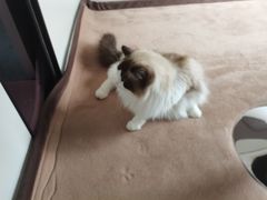 -零纪元VR体验馆·桌游(黄浦店)