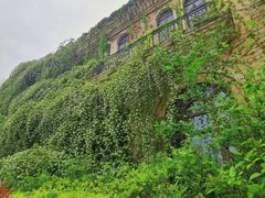 -府河摄影公园