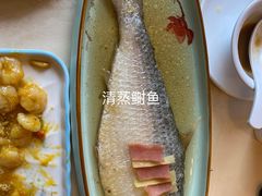 -新镇江酒家(南京西路店)