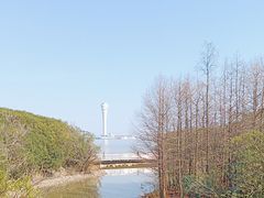 -上海吴淞炮台湾国家湿地公园