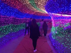 -长洲岛