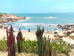 -广东惠东海龟国家级自然保护区