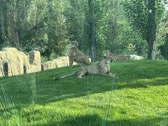 -北京野生动物园