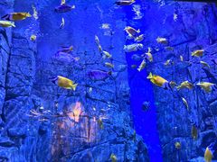 -成都浩海立方海洋公园