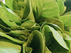 -南门四季铜锅涮肉(大屯·北苑店)