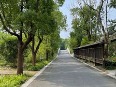 -同里国家湿地公园
