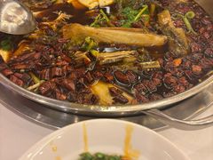 -川道拐耗儿鱼(旗舰店)
