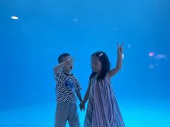 -海合安成都极地海洋公园